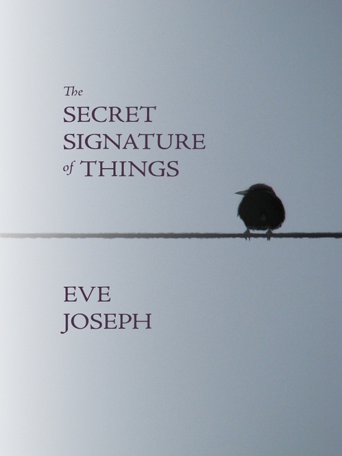 Couverture ebook de The Secret Signature of Things, de Eve Joseph