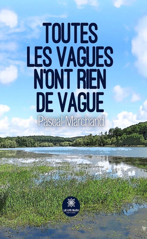 ebook cover of Toutes les vagues n'ont rien de vague, by Pascal Marchand