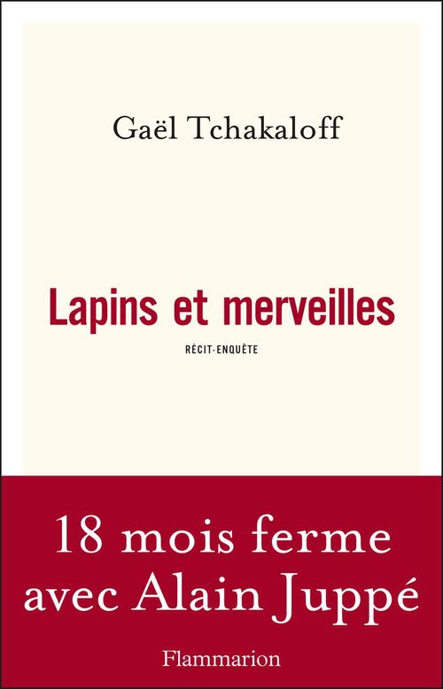 Couverture ebook de Lapins et merveilles, de Gaël Tchakaloff