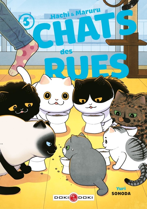Couverture ebook de Hachi & Maruru - Chats des rues - Tome 5 - Chats des rues, de Yuri Sonoda
