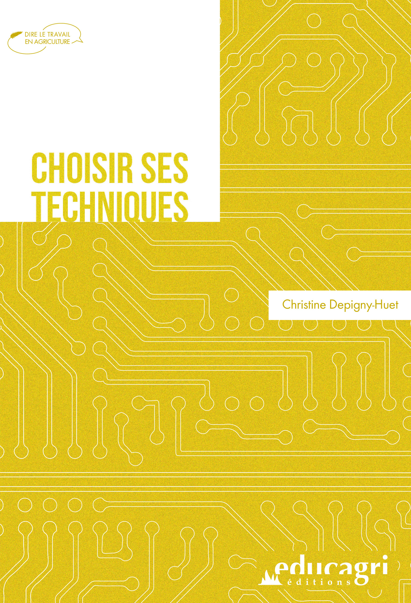 Couverture ebook de Choisir ses techniques, de Depigny-Hu Christine