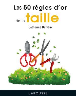 ebook cover of 50 règles d'or de la taille, by Catherine Delvaux