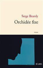 ebook cover of Orchidée fixe, by Serge Bramly