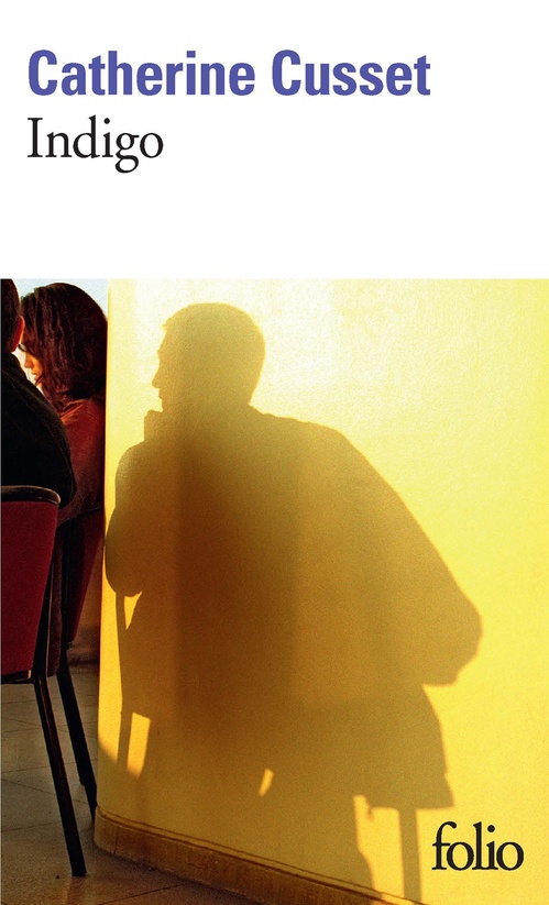 ebook cover of Indigo, by Catherine Cusset