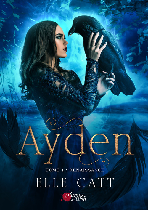 ebook cover of Ayden - Tome 1 : Renaissance, by Elle Catt