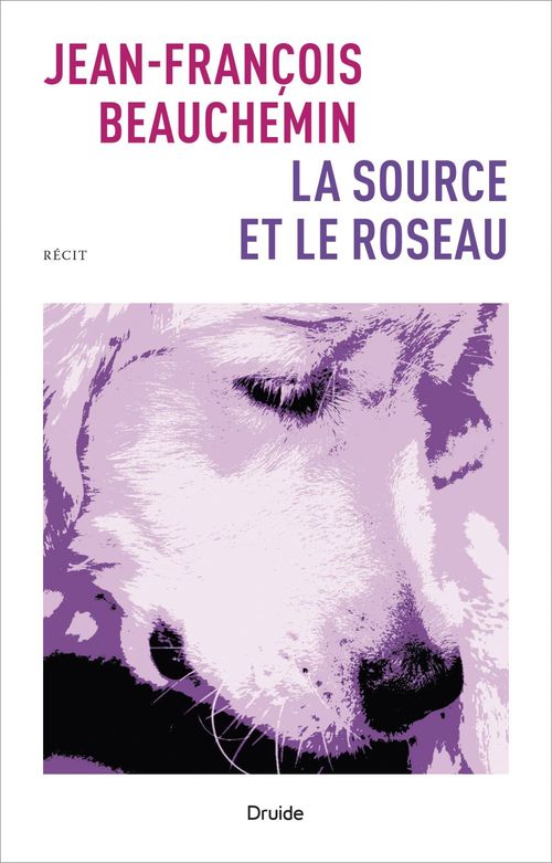 ebook cover of La source et le roseau, by Jean-François Beauchemin