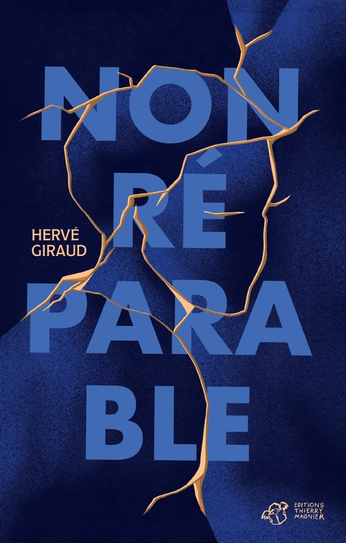 ebook cover of Non Réparable, by Hervé Giraud