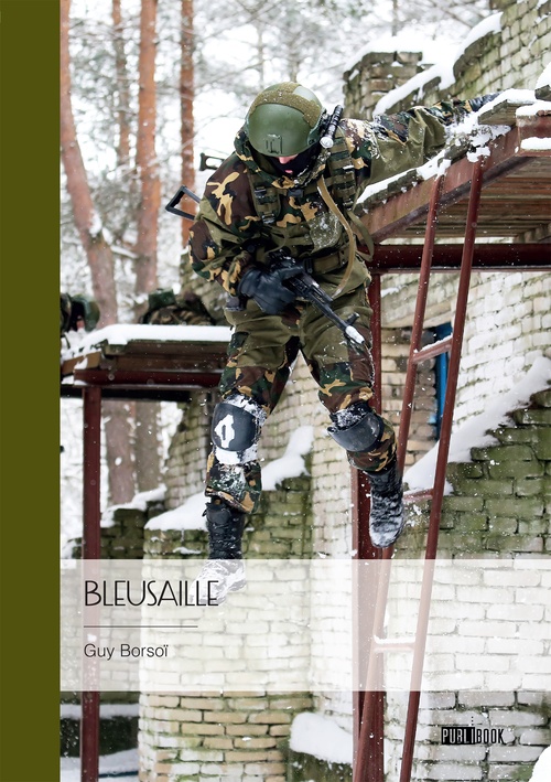 ebook cover of Bleusaille, by Guy Borsoï