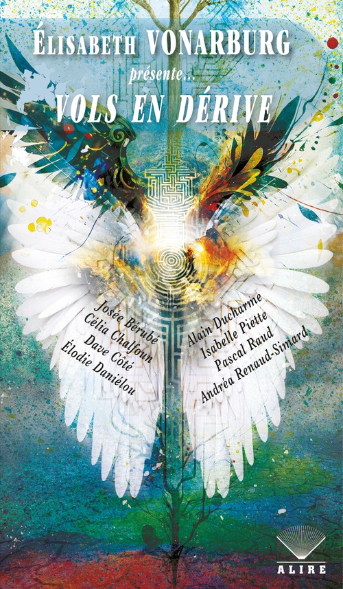 ebook cover of Vols en dérive, by Elisabeth Vonarburg