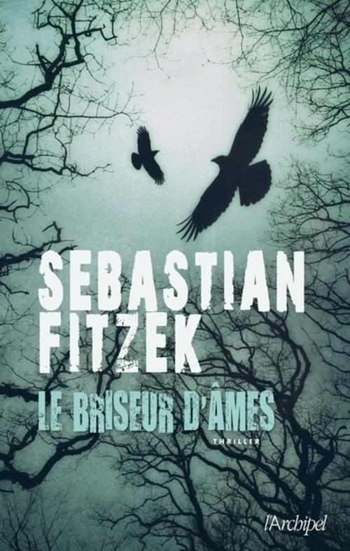 ebook cover of Le Briseur D'âmes, by Sebastian Fitzek