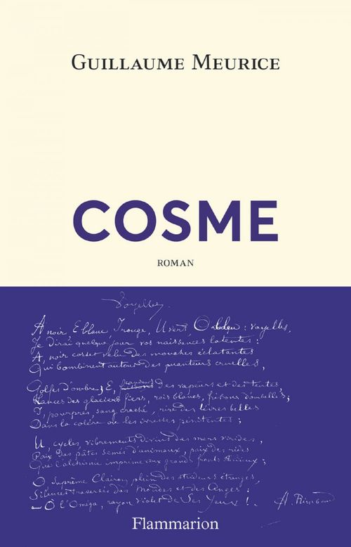 Couverture ebook de Cosme, de Guillaume Meurice