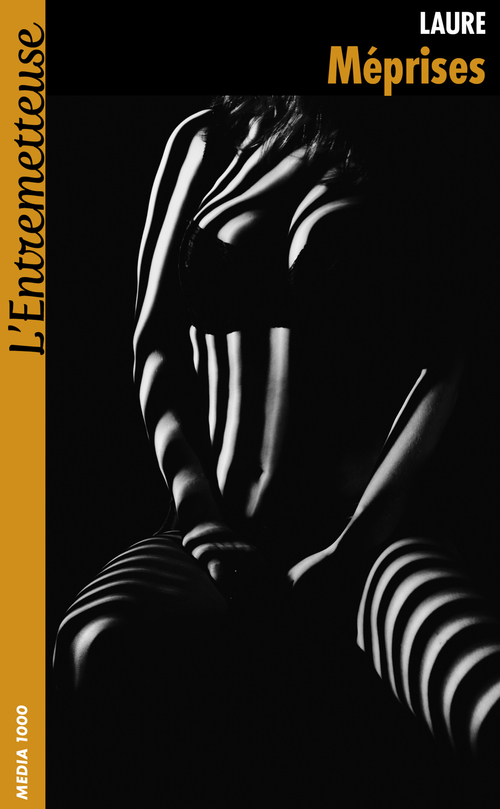 ebook cover of Méprises, by Laure