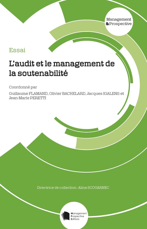ebook cover of L´audit et le management de la soutenabilité, by Guillaume Flamand, Olivier Bachelard, Jacques Igalens, Jean-Marie Peretti