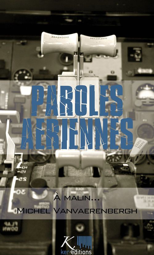 ebook cover of À malin..., by Michel Vanvaerenbergh