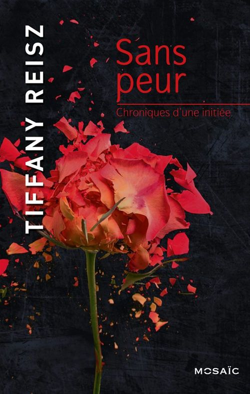 Couverture ebook de Sans peur, de Tiffany Reisz