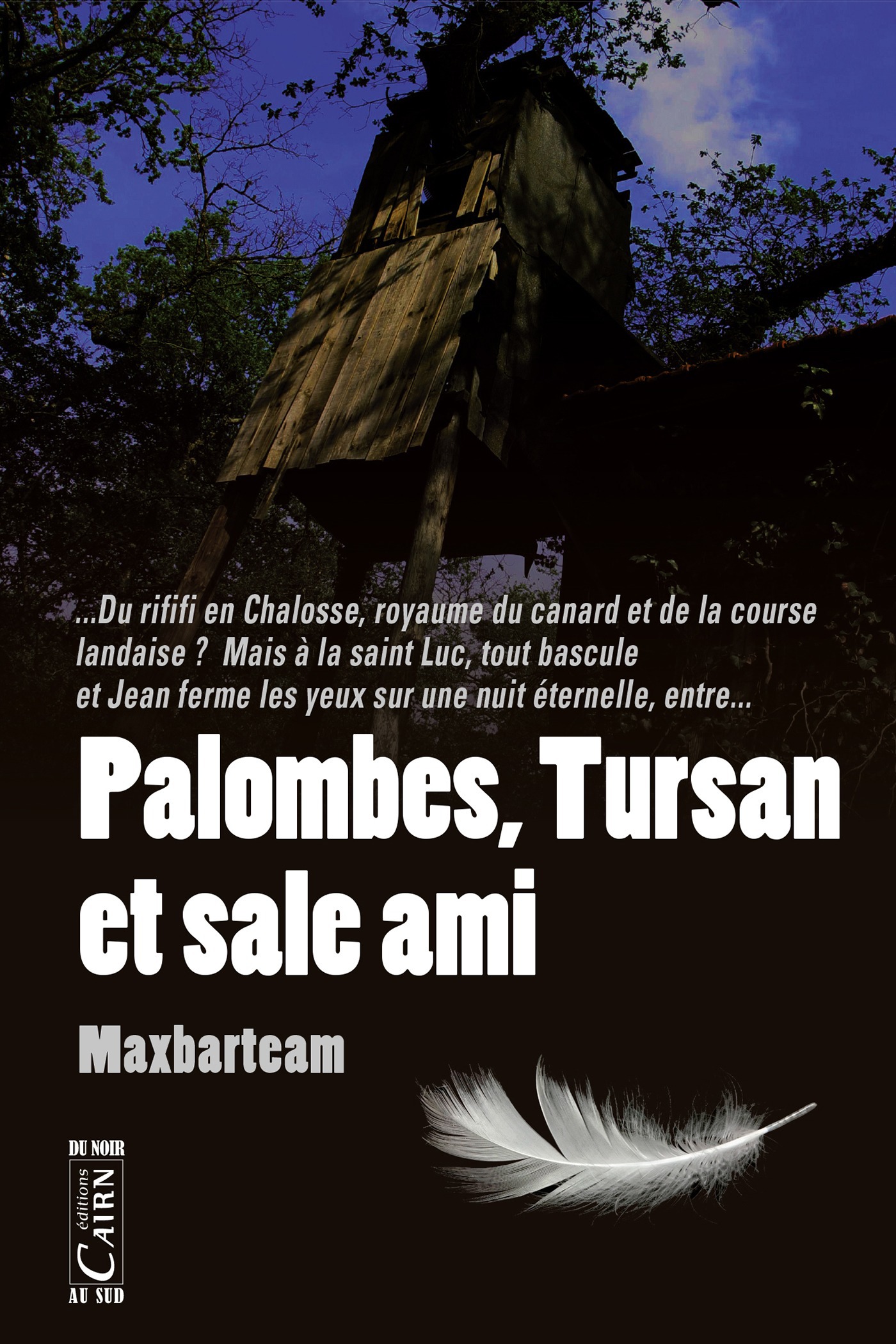 Couverture ebook de Palombes, Tursan et sale ami, de Maxbarteam