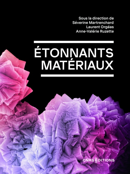 ebook cover of Étonnants matériaux, by Séverine Martrenchard, Anne Valérie Foillard Ruzette