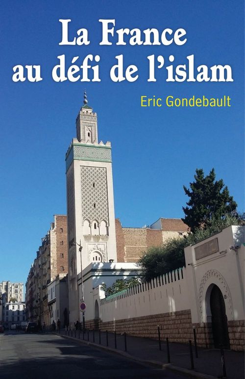 ebook cover of La France au défi de l'islam, by Eric Gondebault