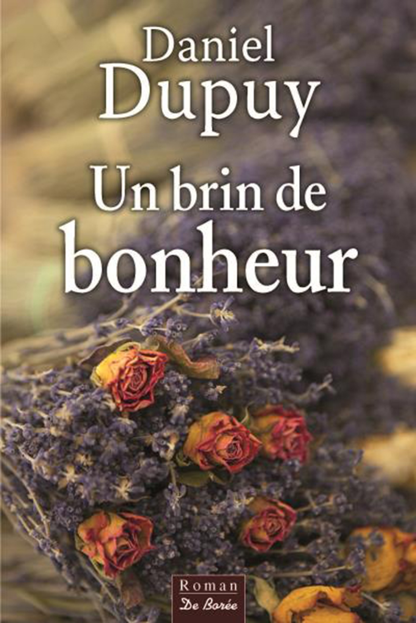 ebook cover of Un brin de bonheur, by Daniel Dupuy