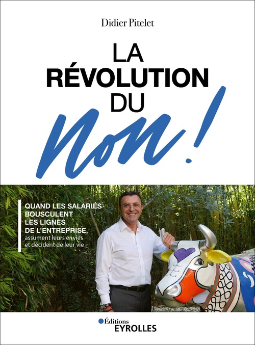 ebook cover of La révolution du Non !, by Didier Pitelet