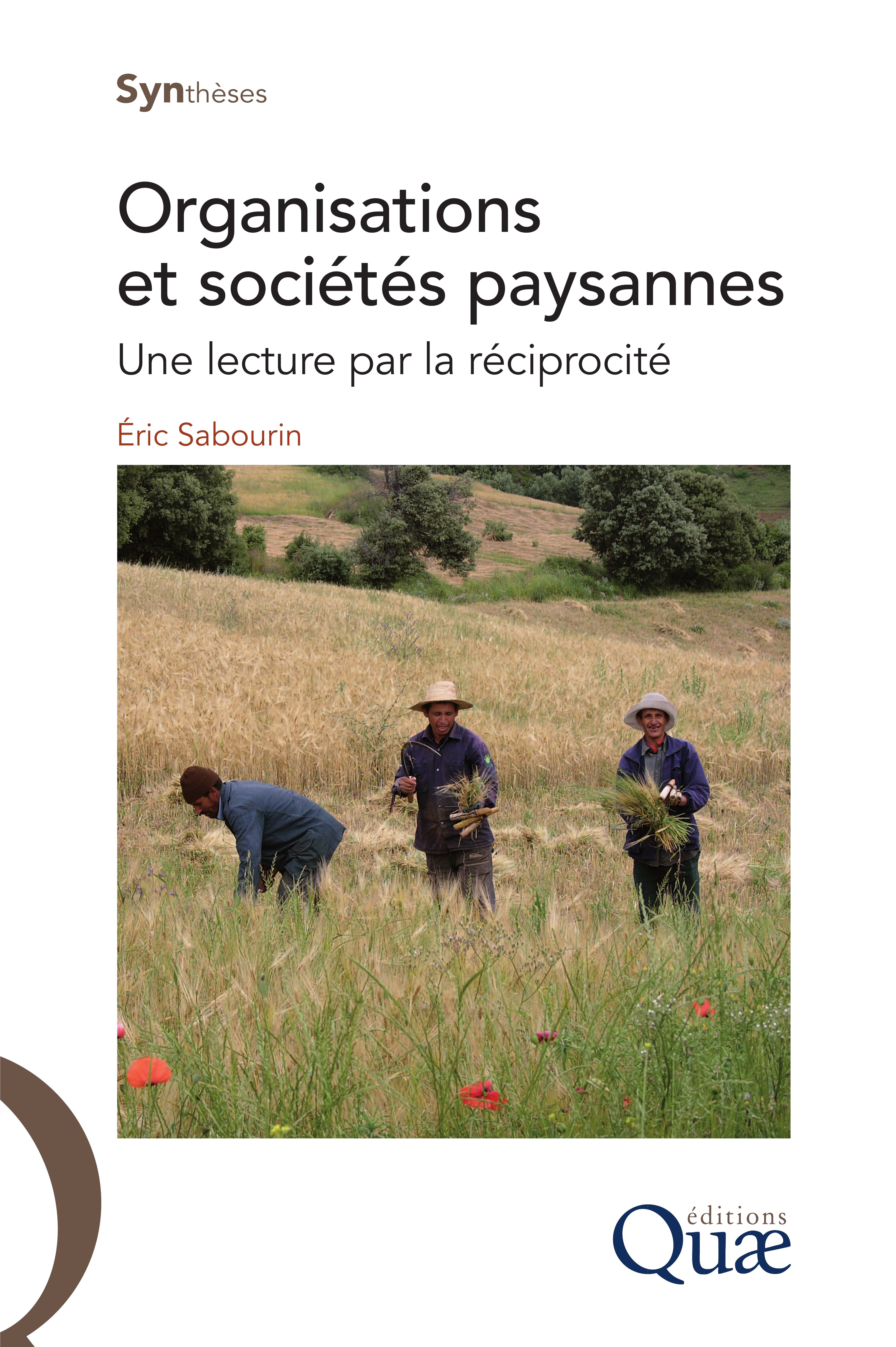 Couverture ebook de Organisation et sociétés paysannes, de Eric Sabourin