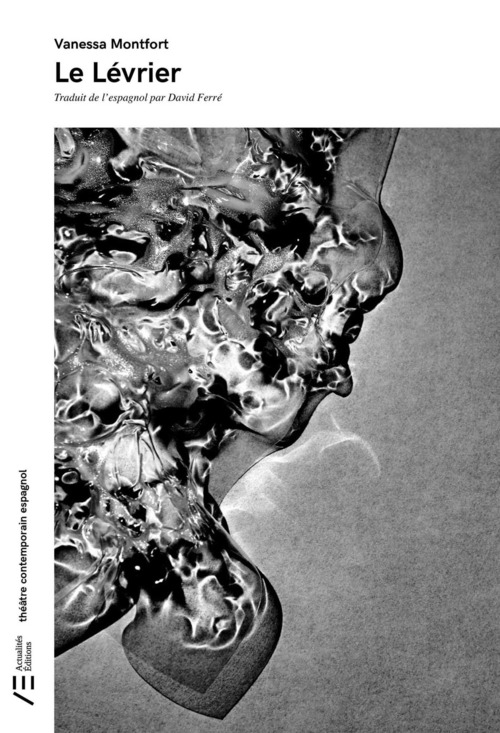 ebook cover of Le lévrier, by Vanessa Montfort