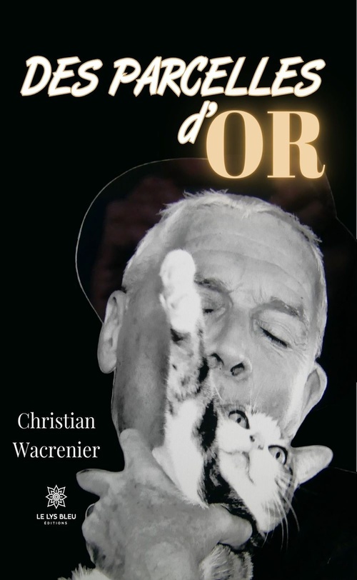 ebook cover of Des parcelles d'or, by Christian Wacrenier