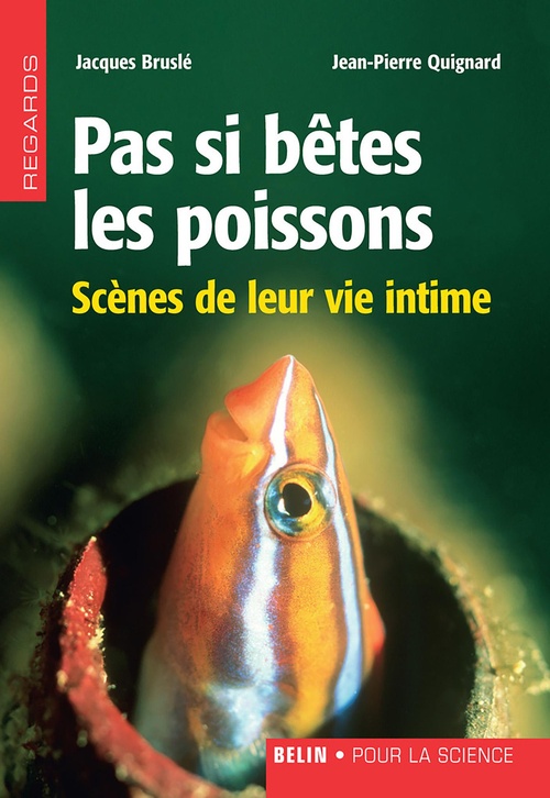 Couverture ebook de Pas si bêtes les poissons : Scènes de leur vie intime, de Jean-Pierre Quignard, Jacques Bruslé