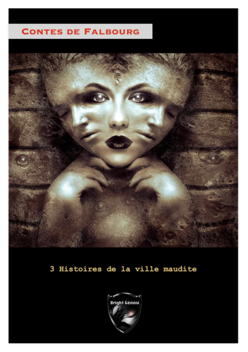 ebook cover of Contes de Falbourg, by Bright Gemini