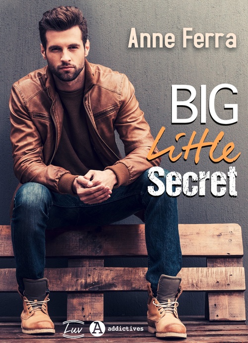 Couverture ebook de Big Little Secret, de Anne Ferra