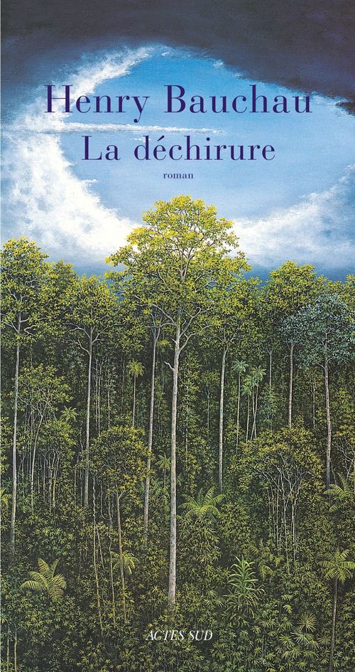 Couverture ebook de La Déchirure, de Henry Bauchau