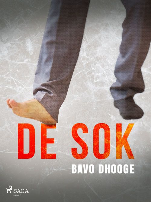 ebook cover of De sok, by Bavo Dhooge