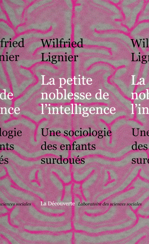 Couverture ebook de La petite noblesse de l'intelligence, de Wilfried Lignier