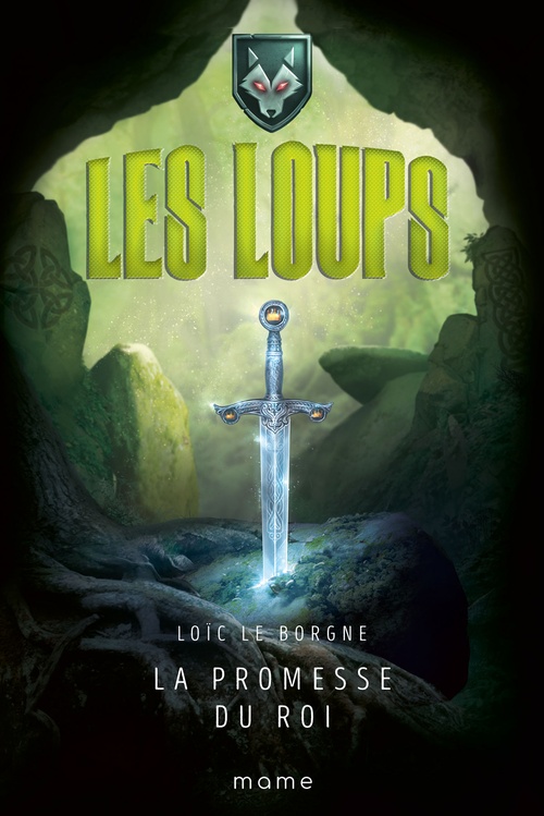 Couverture ebook de La promesse du roi, de Loïc Le borgne