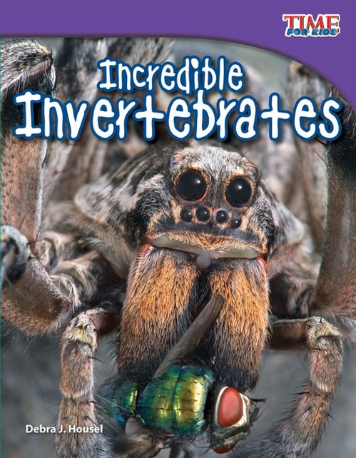 ebook cover of Incredible Invertebrates, by Debra J. Housel