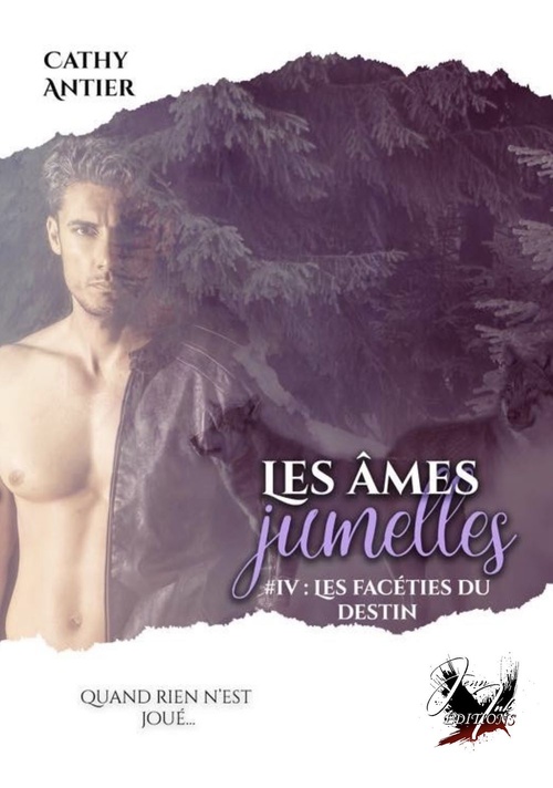 Couverture ebook de Les âmes jumelles - Tome 4, de Cathy Antier