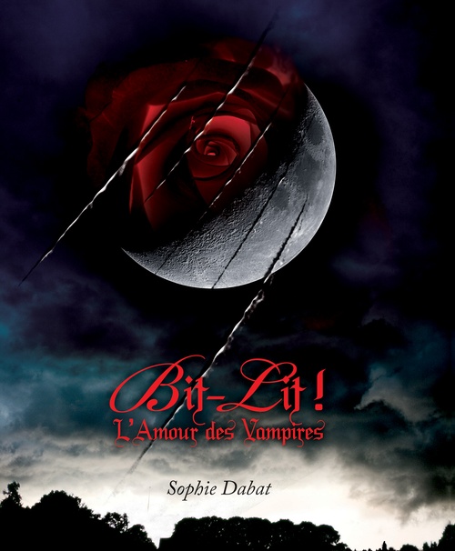 ebook cover of Bit-lit ! - L'Amour des Vampires, by Sophie Dabat
