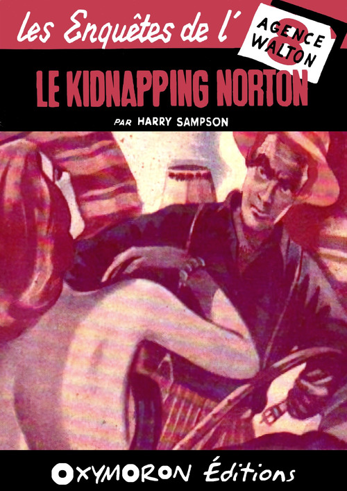 ebook cover of Le kidnapping Norton, by Harry Sampson