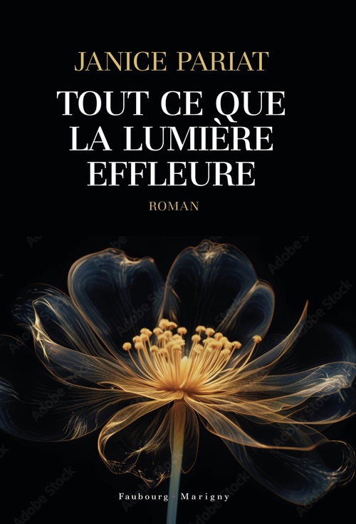 ebook cover of Tout ce que la lumière effleure, by Janice Pariat