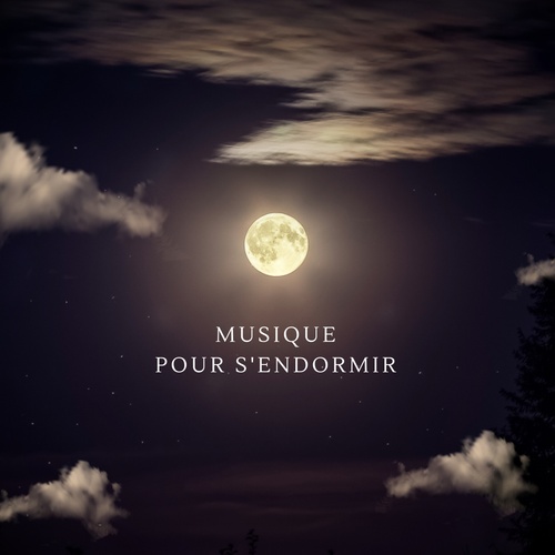 Couverture audiobook de Musique pour s'endormir : sons apaisants pour trouver le sommeil, de Sons Apaisants - Musique pour Dormir