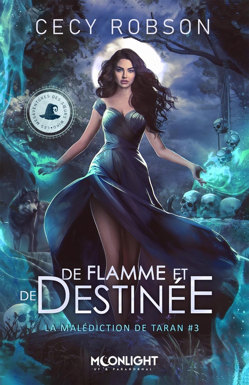 ebook cover of De flamme et de destinée, by Cecy Robson