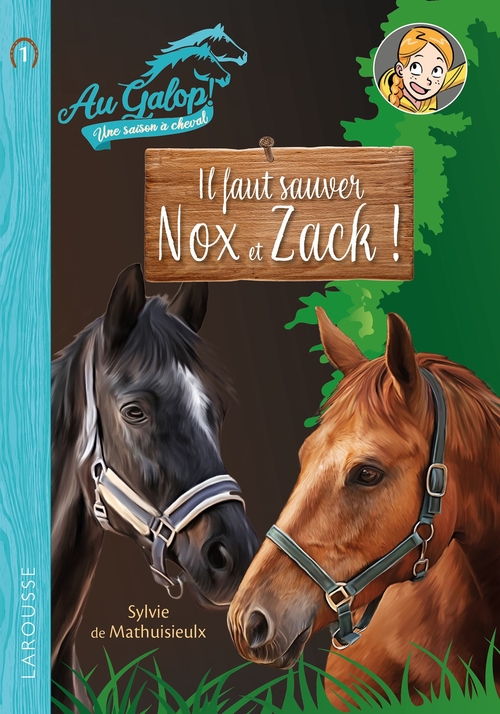 Couverture ebook de Roman AU GALOP, une année à cheval - Il faut sauver Nox et Zach, de Sylvie Méhier de Mathuisieulx