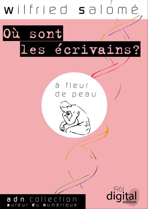 ebook cover of Où sont les écrivains ?, by Wilfried Salomé