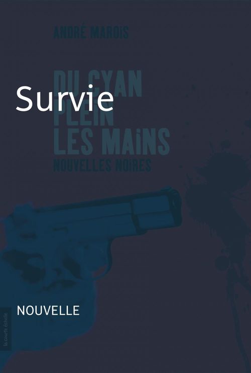 ebook cover of Survie, by André Marois