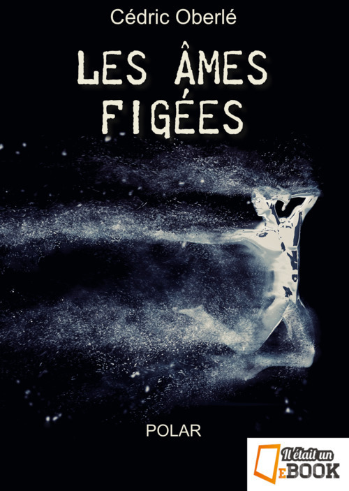 ebook cover of Les âmes figées, by Oberle Cedric