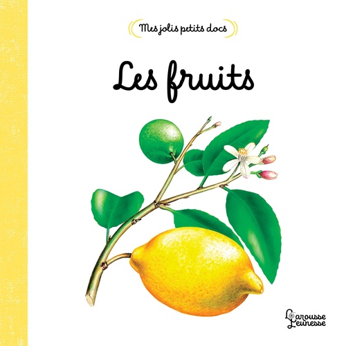 Couverture ebook de Mes jolis petits docs - Les fruits, de Anne Letoré