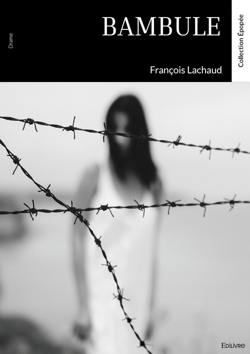 ebook cover of Bambule, by François Lachaud