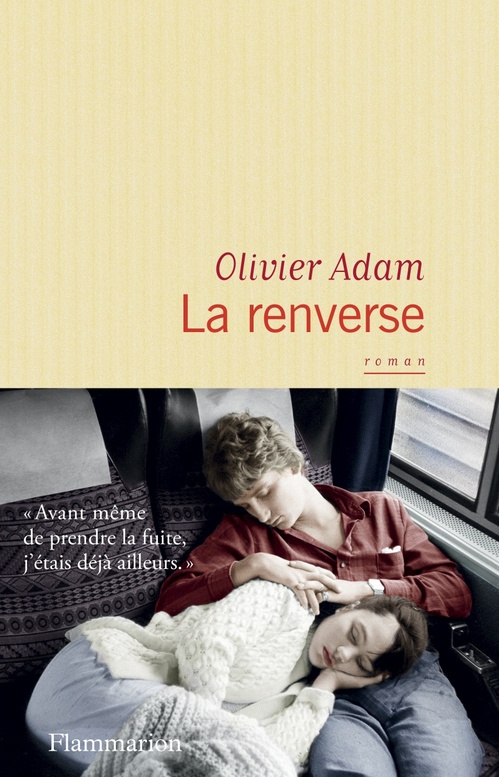 Couverture ebook de La renverse, de Olivier Adam