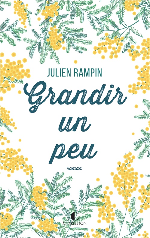 ebook cover of Grandir un peu, by Julien Rampin