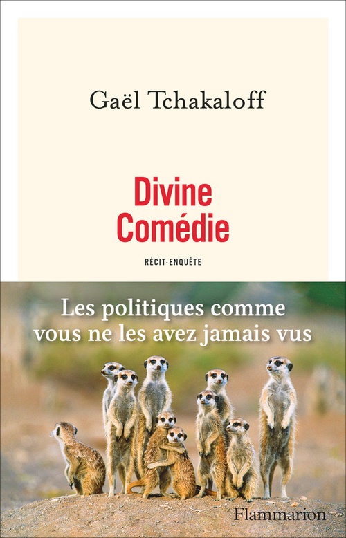 ebook cover of Divine Comédie, by Gaël Tchakaloff
